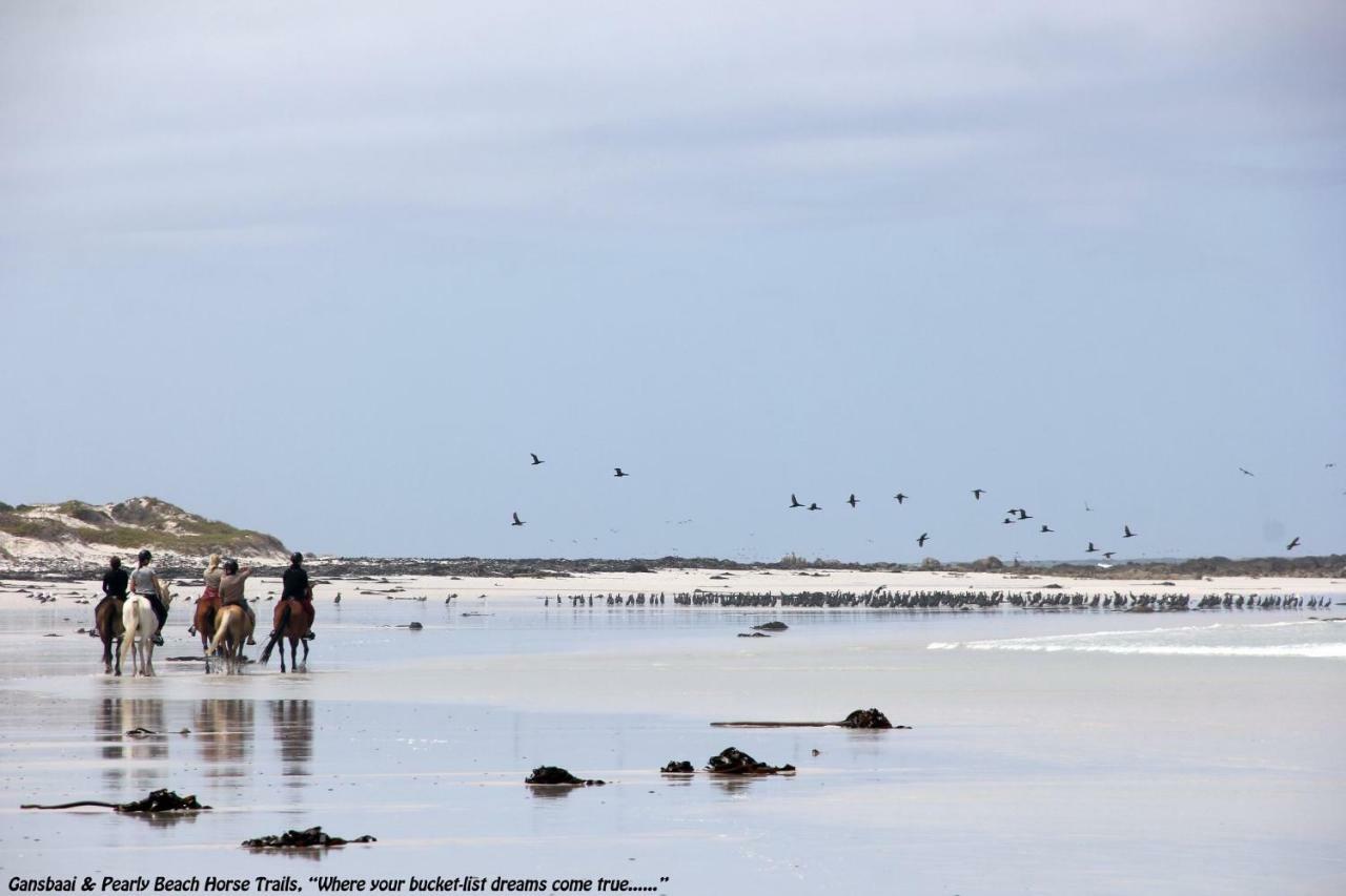 Ons C-Huis - Gansbaai Seafront Accommodation, Back-Up Power Eksteriør billede